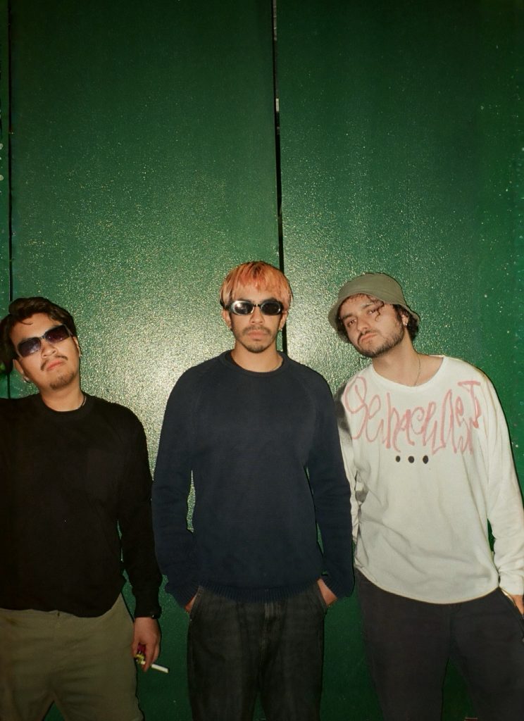 Imágen de Pájaros Vampiro